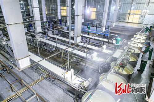 廊坊廣陽 機械化賦能農(nóng)產(chǎn)品深加工，量子計算技術(shù)助力京津菜籃子保供